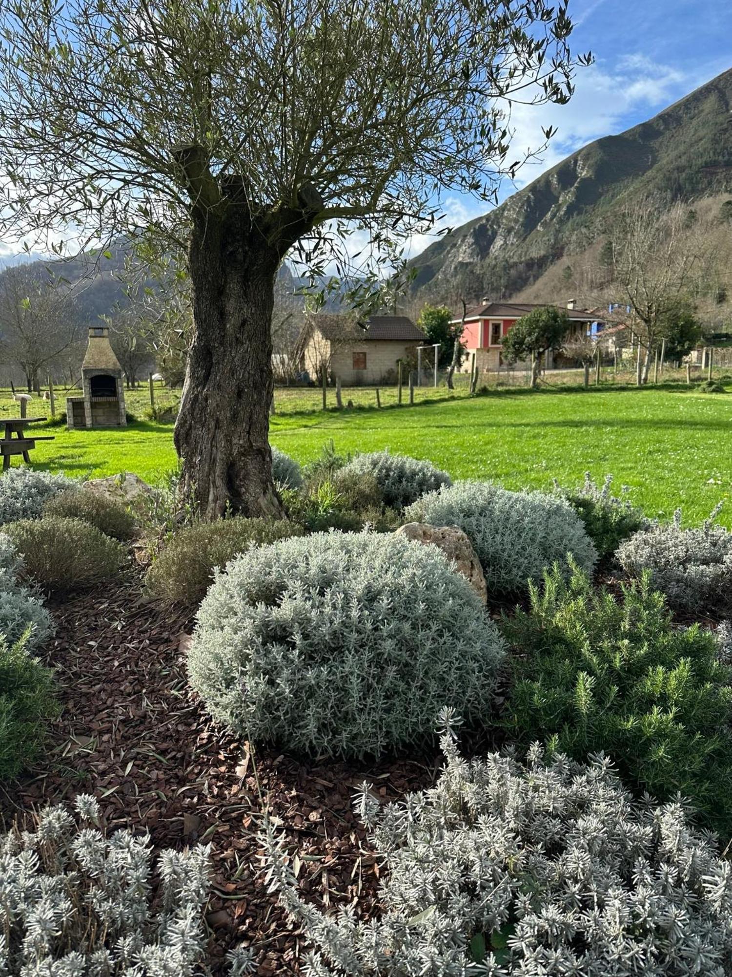 Casa Rural Nasares San Juan de Parres ภายนอก รูปภาพ