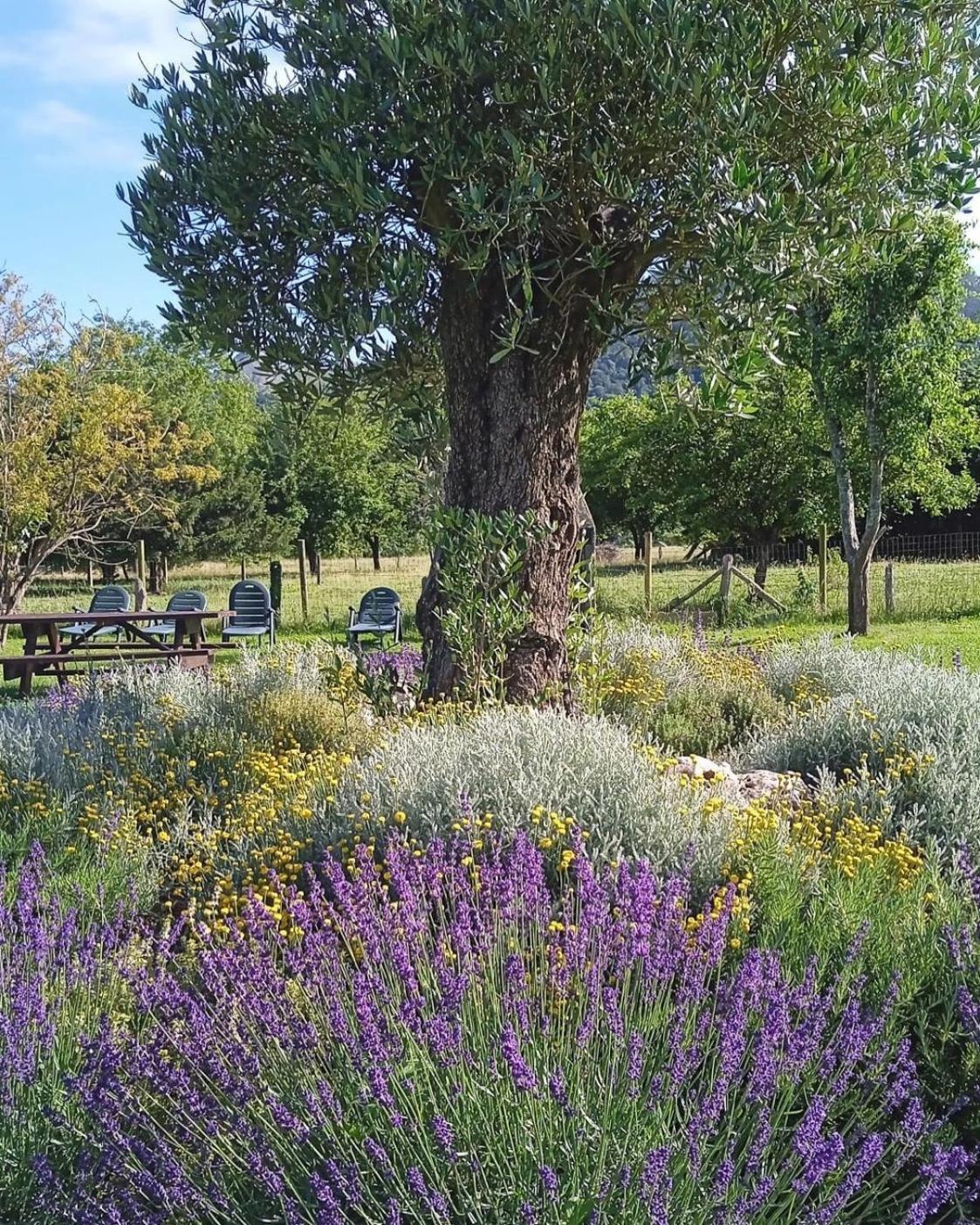 Casa Rural Nasares San Juan de Parres ภายนอก รูปภาพ